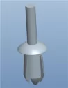 Push Rivet Blunt